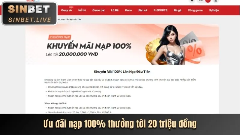 Hoàn trả cược thua cao